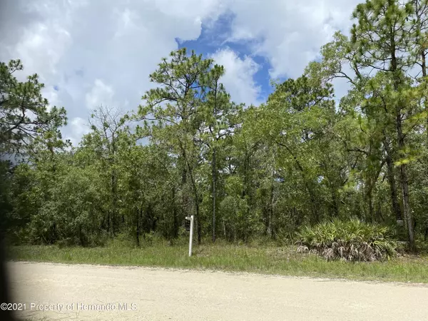 Weeki Wachee, FL 34614,Mottled Owl Road