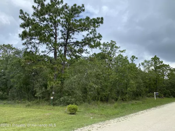 Mottled Owl Road, Weeki Wachee, FL 34614