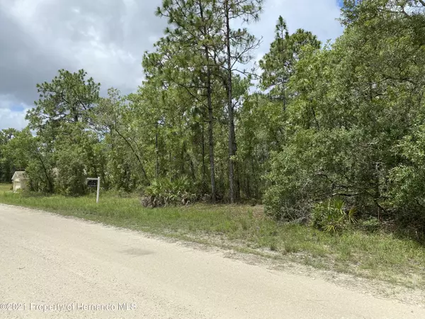 Weeki Wachee, FL 34614,Mottled Owl Road