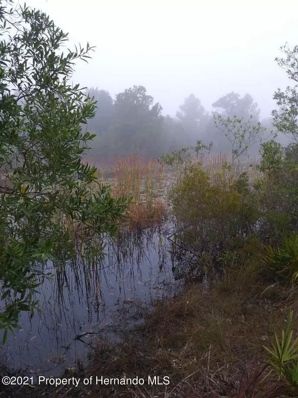 Weeki Wachee, FL 34614,Quinton Road