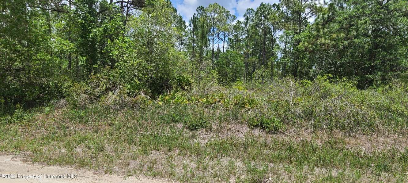 Quinton Road, Weeki Wachee, FL 34614