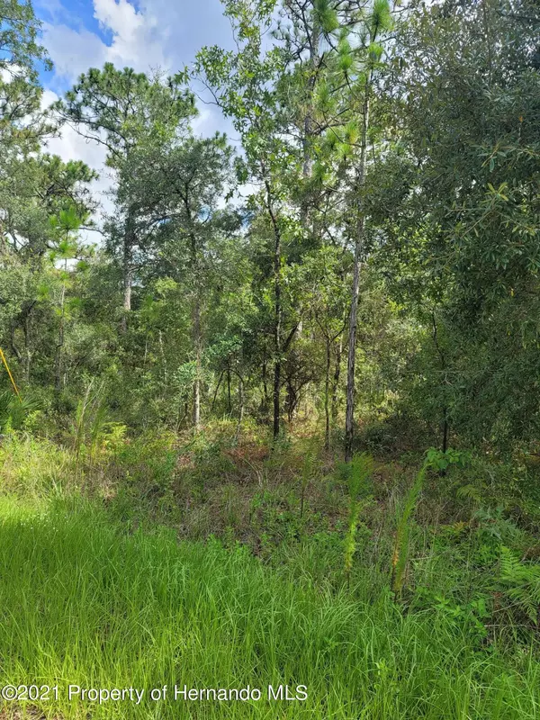 Weeki Wachee, FL 34614,12233 Jaybird Road