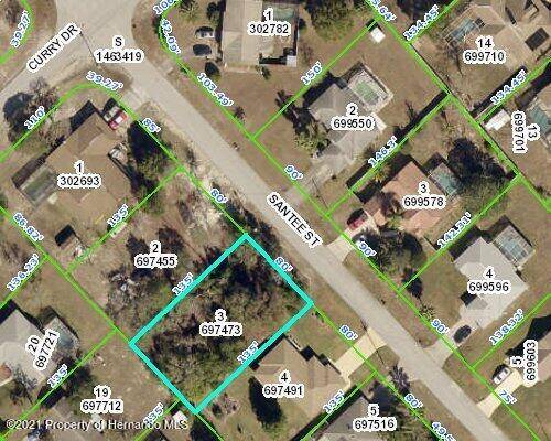 Santee Street, Spring Hill, FL 34609