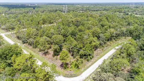 Sooty Tern Avenue, Weeki Wachee, FL 34614