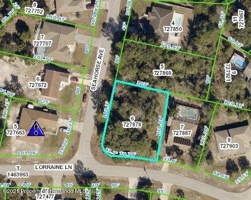 Seahorse Avenue, Spring Hill, FL 34608