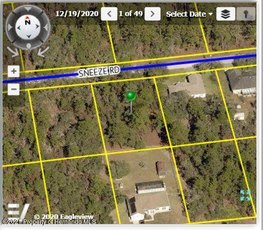 11252 SNEEZE Road, Brooksville, FL 34614