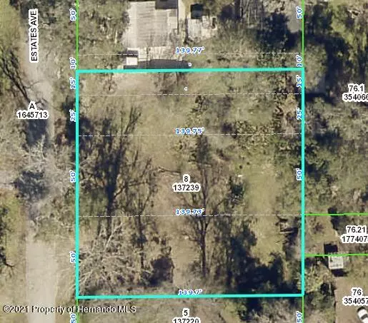132 Estates Avenue, Brooksville, FL 34601