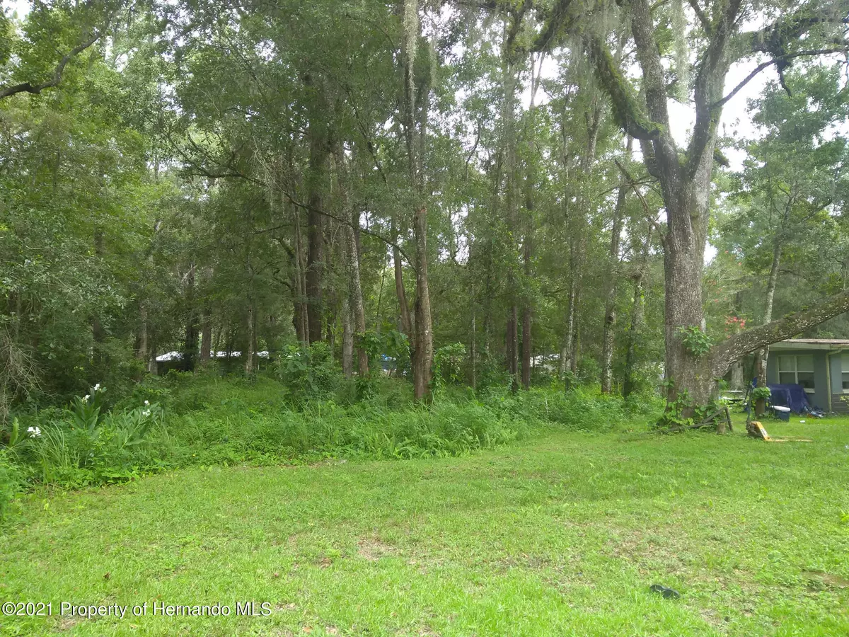 Brooksville, FL 34601,Ward Avenue