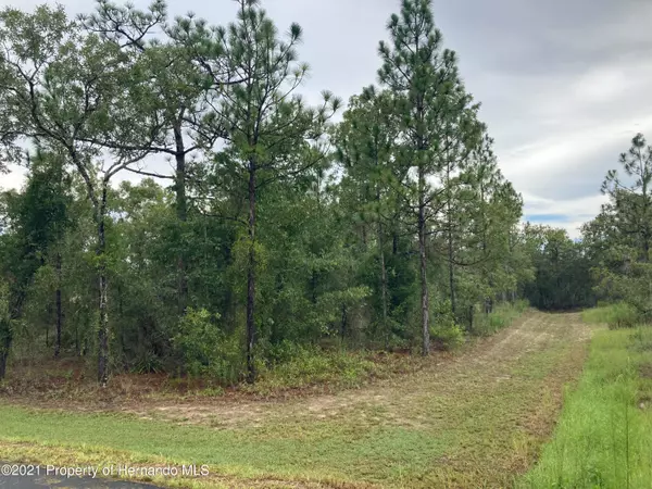 0 Pomp, Weeki Wachee, FL 34614