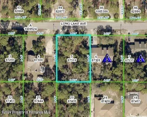 5 Long Lake Avenue, Weeki Wachee, FL 34613