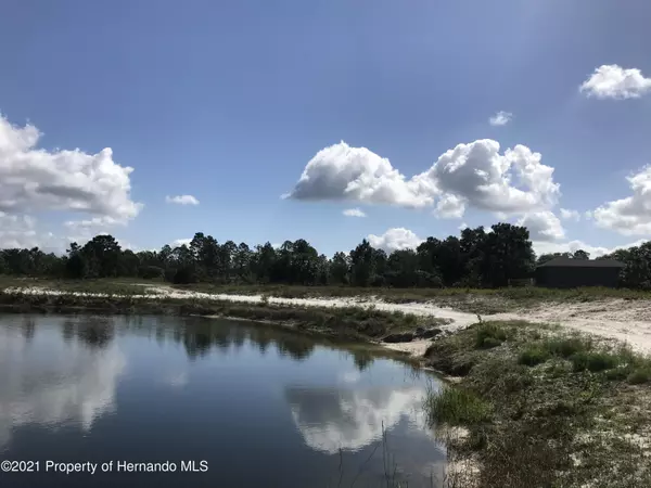 Brooksville, FL 34614,Lomita Wren Road