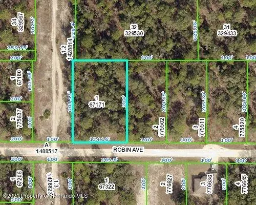 Weeki Wachee, FL 34614,1 Robin