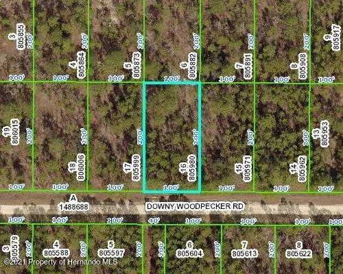 DOWNY WOODPECKER Road, Weeki Wachee, FL 34614