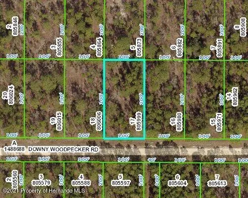 0 DOWNY WOODPECKER Road, Weeki Wachee, FL 34614