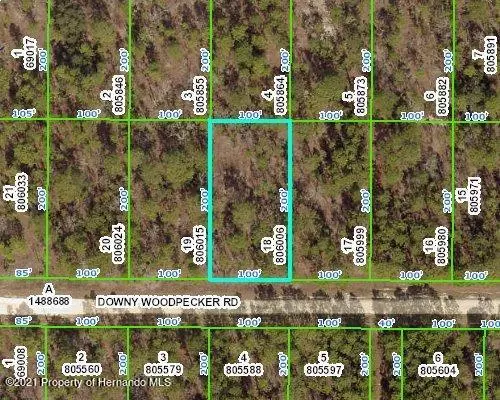 0 DOWNY WOODPECKER Road, Weeki Wachee, FL 34614