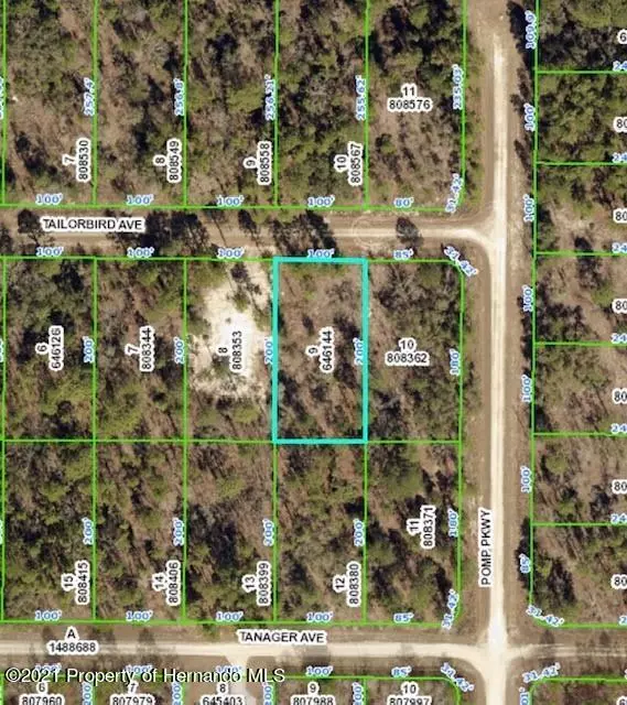 9 Tailorbird Avenue, Weeki Wachee, FL 34614