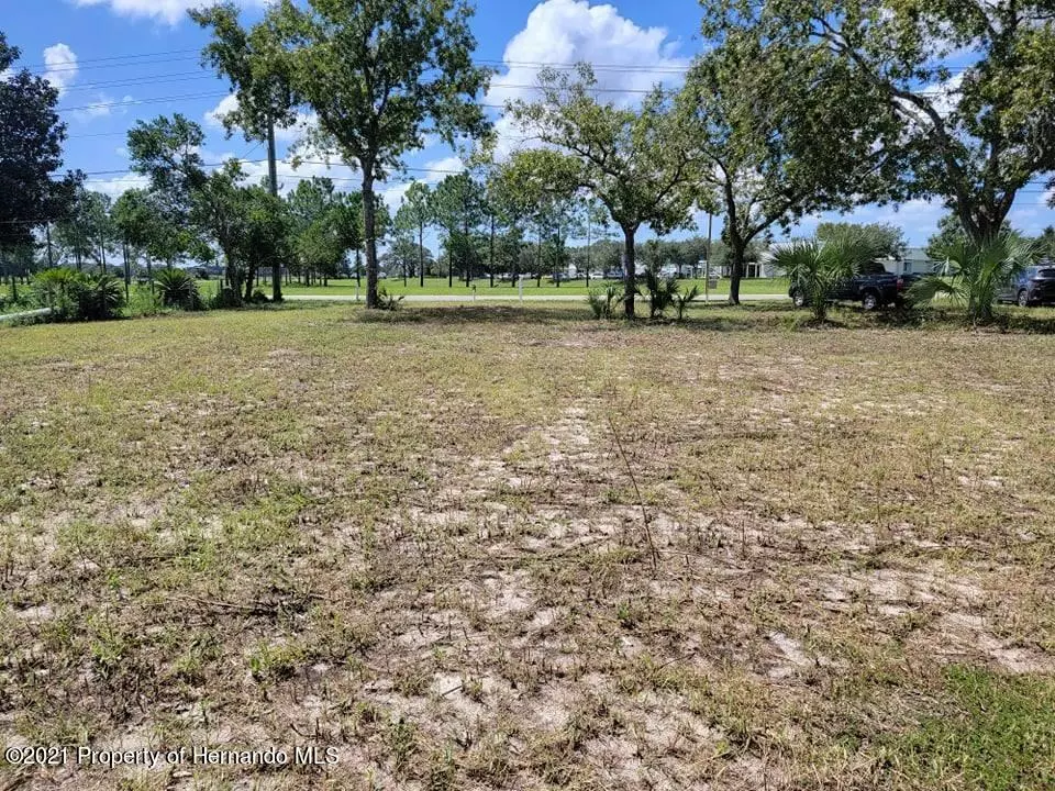 Brooksville, FL 34604,16159 Powell Road