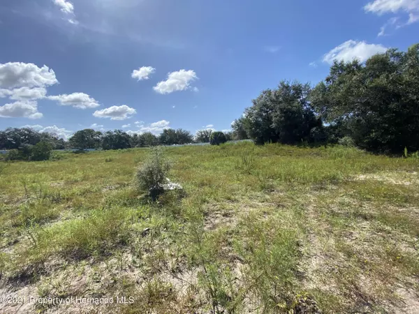 Hudson, FL 34667,Titus Road