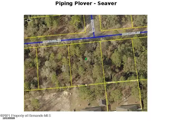 12350 Piping Plover Avenue, Brooksville, FL 34614