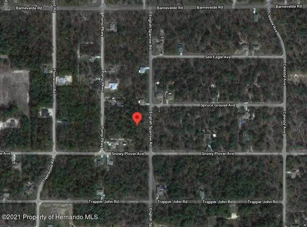 Weeki Wachee, FL 34614,English Sparrow Road