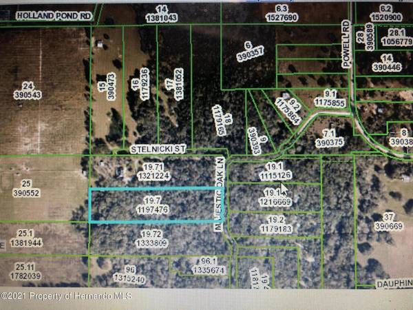 4025 Majestic Oak Lane, Brooksville, FL 34602