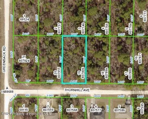 Thornhill Avenue, Weeki Wachee, FL 34614