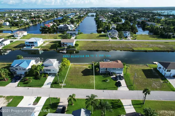 4001 Bluefish Drive, Hernando Beach, FL 34607