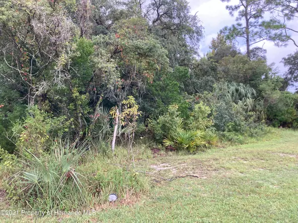 Weeki Wachee, FL 34613,Serene Street