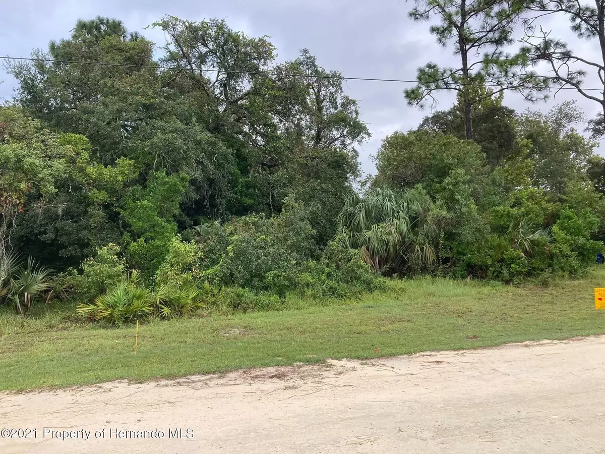 Weeki Wachee, FL 34613,Serene Street