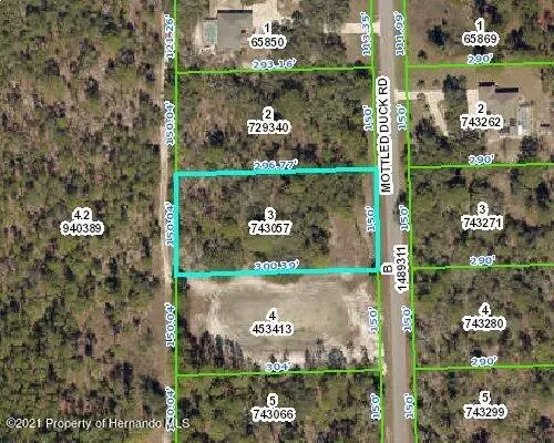 13111 Mottled Duck Road, Weeki Wachee, FL 34614