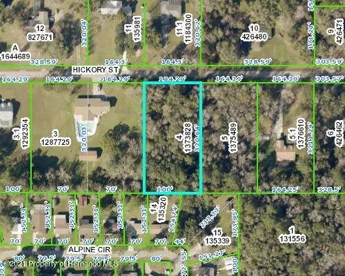 Brooksville, FL 34601,0 HICKORY Street