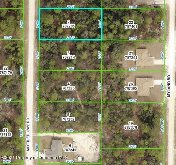 15316 MOTTLED OWL Road, Brooksville, FL 34614