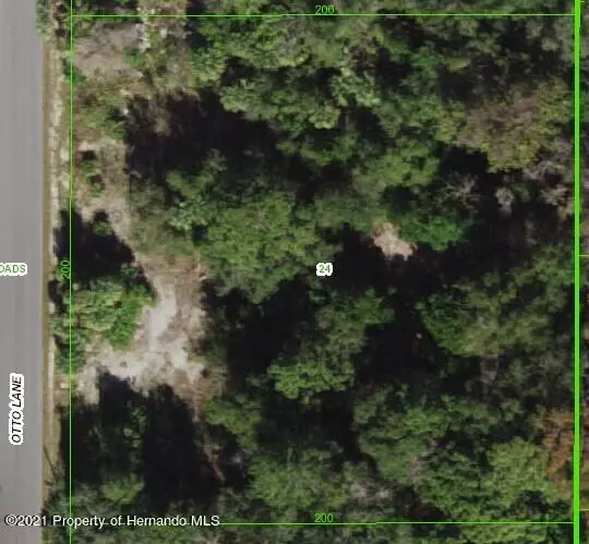 Otto Lane, Hudson, FL 34667