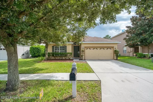 13169 Mandalay Place, Spring Hill, FL 34609