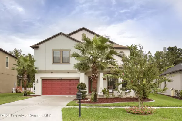 8912 Shady Pavillion Court, Land O' Lakes, FL 34637