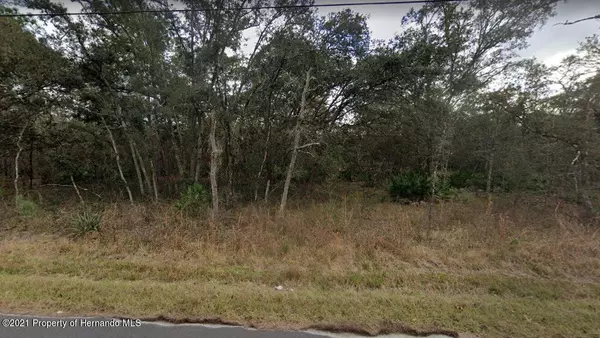 Brooksville, FL 34614,Jaybird Road