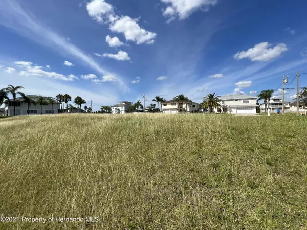 Hernando Beach, FL 34607,3440 Croaker Drive