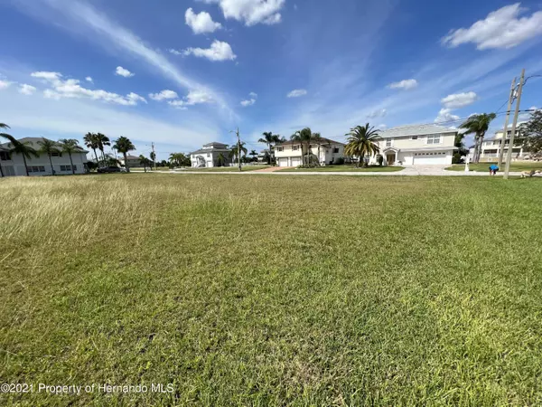 Hernando Beach, FL 34607,3440 Croaker Drive