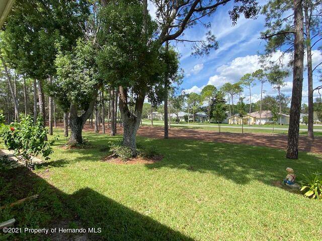 7423 Woodhollow Road, Spring Hill, FL 34606