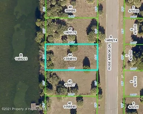 Hernando Beach, FL 34607,ROSE ARBOR Drive