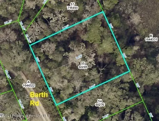 Barth Road, Dade City, FL 33523