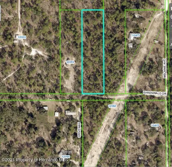 Weeki Wachee, FL 34613,20 Ehrenwald Drive