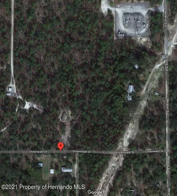 Weeki Wachee, FL 34613,20 Ehrenwald Drive