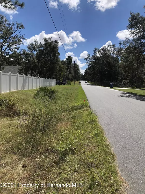 Weeki Wachee, FL 34614,0 JAYBIRD Road