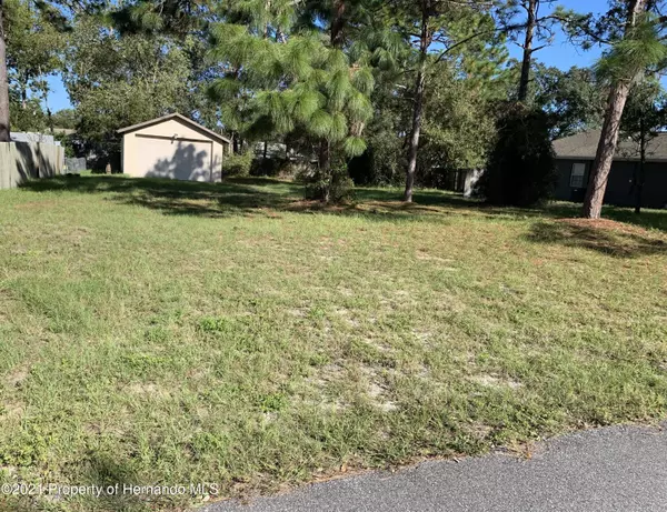 Spring Hill, FL 34609,11 Twin Lake Avenue