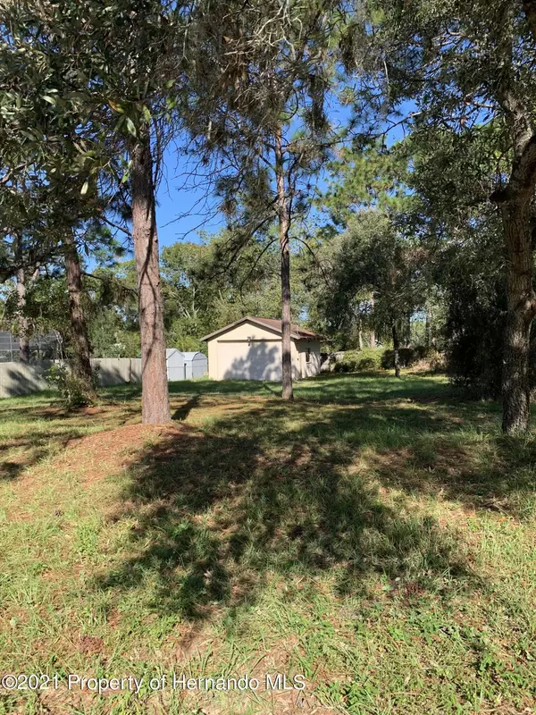 11 Twin Lake Avenue, Spring Hill, FL 34609