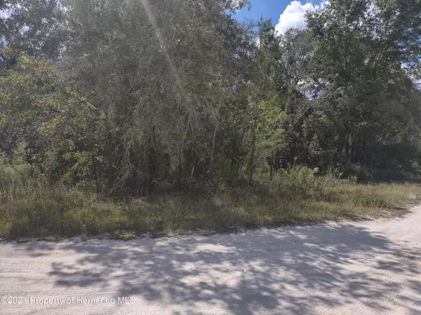 Weeki Wachee, FL 34614,12410 Rock Duck Avenue