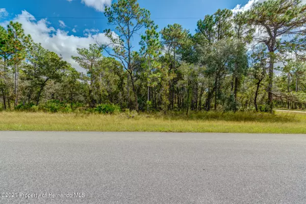 Brooksville, FL 34614,Mahopac Road