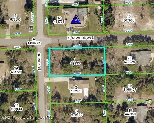 Weeki Wachee, FL 34613,0 Flatwood Avenue