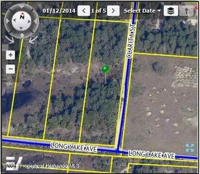 0 Long Lake Avenue, Weeki Wachee, FL 34613